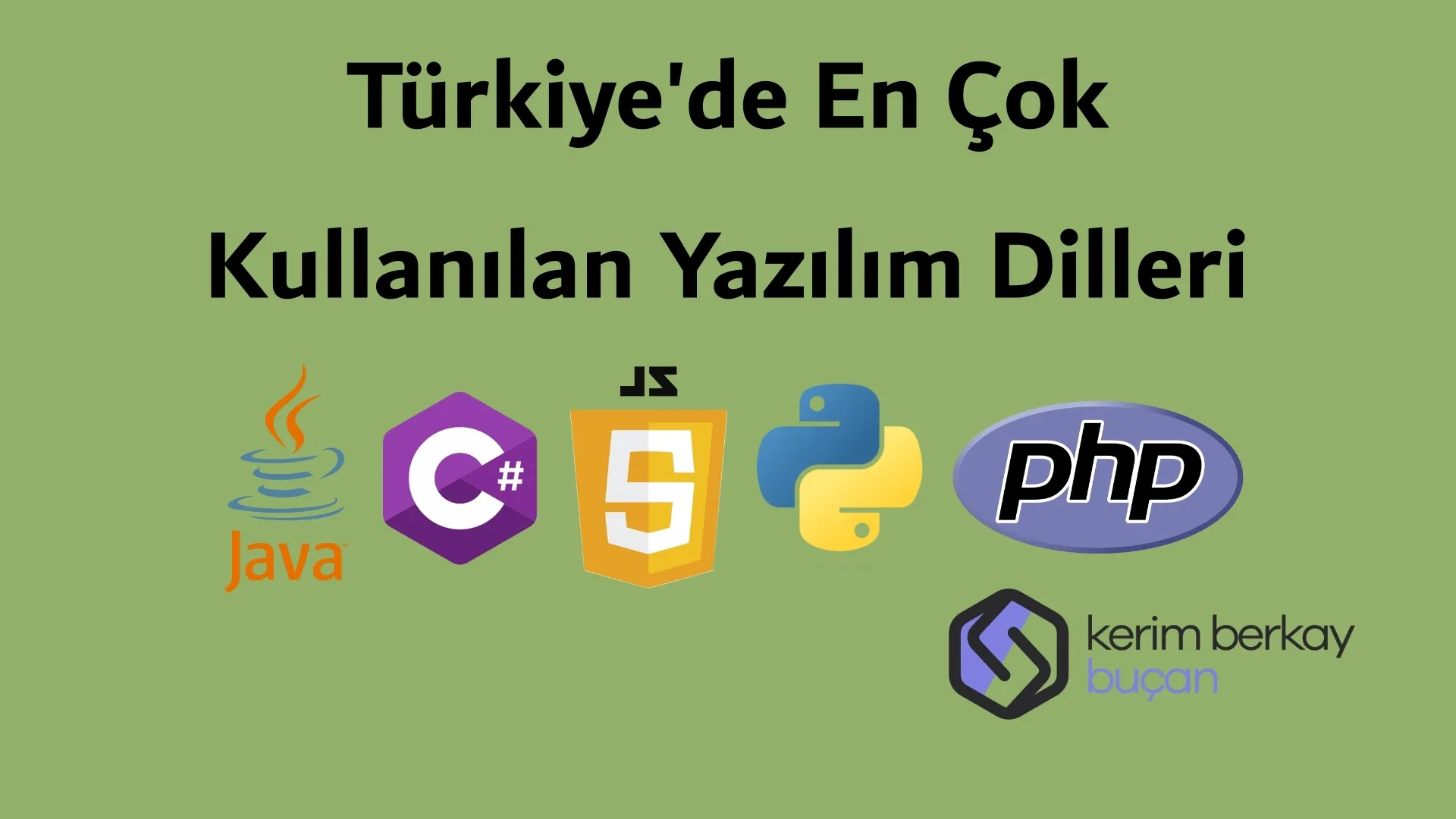 Türkiye'de En Çok Kullanılan Yazılım Dilleri